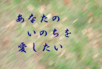 ���Ȃ��̂��̂�����������