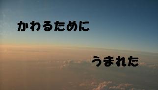 ����邽�߂ɐ��܂ꂽ