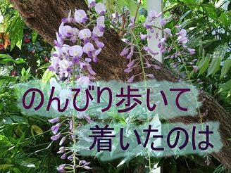 �̂�т�����Ē������̂�